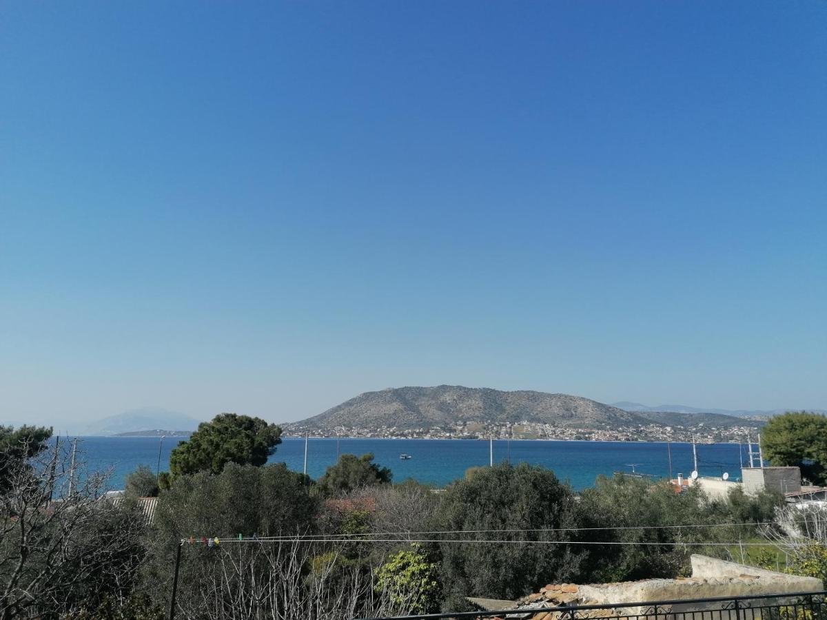 Вілла Welcome In Salamina Екстер'єр фото